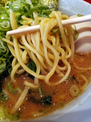 麺は家系ラーメンの定番、酒井製麺製の麺